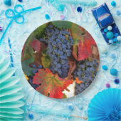 Beautiful Harvest Weinberg Weinberg Teller (Party)