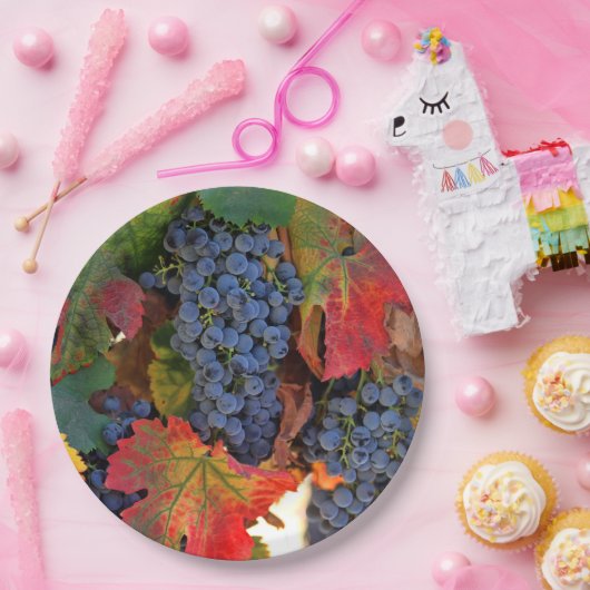 Beautiful Harvest Weinberg Weinberg Teller (Party)