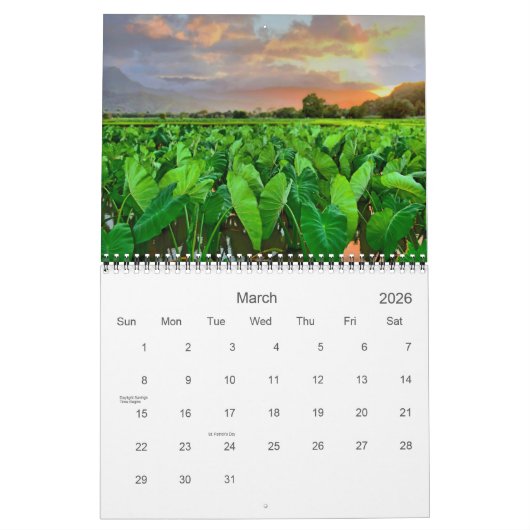 Beautiful Hawaii Kalender (Mär 2026)