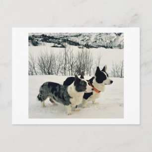 Beautiful Holiday Postkarte