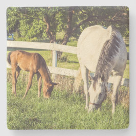 Beautiful Horse and Foal Green Pasture Steinuntersetzer