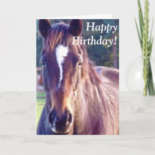 Beautiful Horse Birthday Card Karte