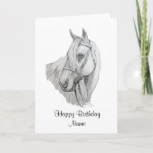 Beautiful Horse Pencil Portrait Happy Birthday