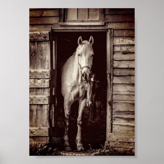 Beautiful Horses Rustic Brown Barn Poster (Vorne)