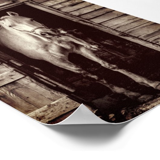 Beautiful Horses Rustic Brown Barn Poster (Ecke)