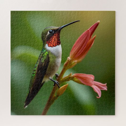 Beautiful Hummingbird Puzzle (Horizontal)