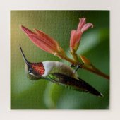 Beautiful Hummingbird Puzzle (Vertikal)