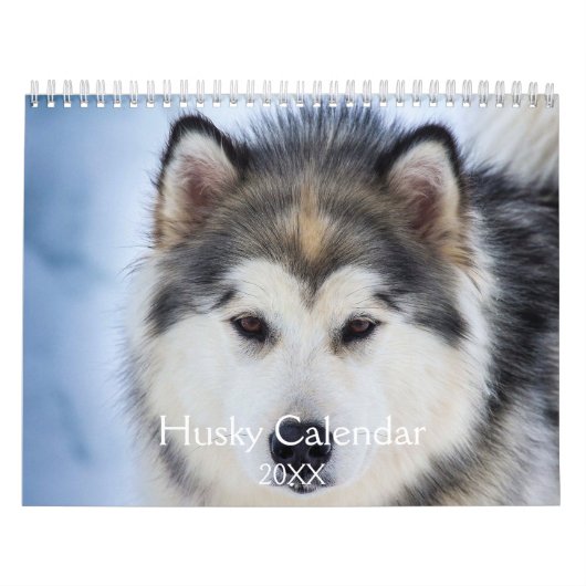 Beautiful Husky Dog Kalender (Titelbild)