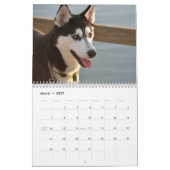 Beautiful Husky Dog Kalender (Mär 2027)