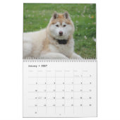 Beautiful Husky Dog Kalender (Jan 2027)