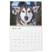 Beautiful Husky Dog Kalender (Feb 2027)