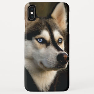 Beautiful Husky Throw Pillow Case-Mate iPhone Hülle