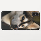 Beautiful Husky Throw Pillow Case-Mate iPhone Hülle (Rückseite (Horizontal))