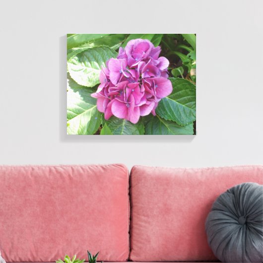 Beautiful Hydrangea Leinwanddruck (Insitu (Wohnzimmer))