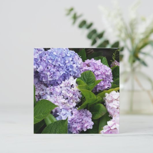 Beautiful Hydrangeas Note Card (Stehend Vorderseite)