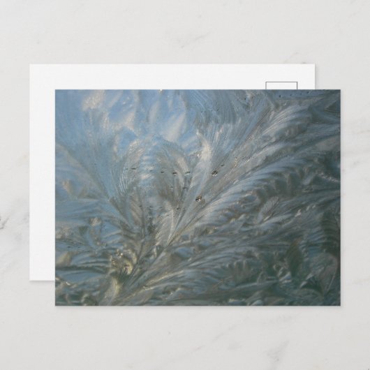 Beautiful Ice Blume DIY Postkarte (Vorne/Hinten)