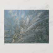 Beautiful Ice Blume DIY Postkarte (Vorderseite)