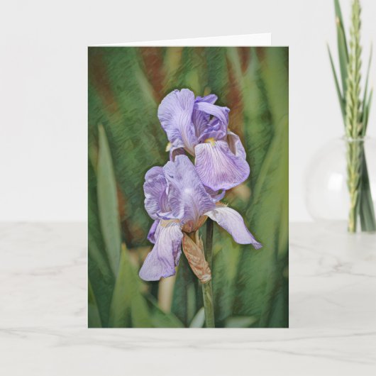 Beautiful Iris Blume Impressionismus Art Note Card Karte (Vorderseite)