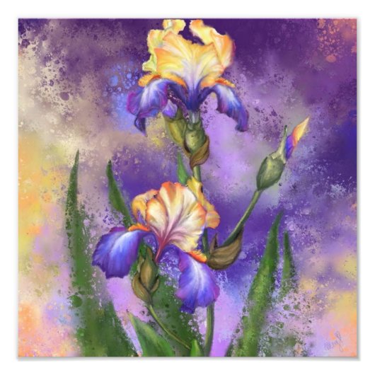 Beautiful Iris Blume - Malerei Fotodruck (Vorne)