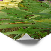 Beautiful Iris Flower Garden Poster (Ecke)
