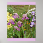 Beautiful Iris Flower Garden Poster (Vorne)