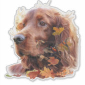 Beautiful Irish Red Setter Aufkleber (Vorderseite)