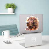Beautiful Irish Red Setter Aufkleber (Laptop auf Schreibtisch)
