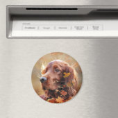 Beautiful Irish Red Setter Magnet (In Situ (Geschirrspüler))