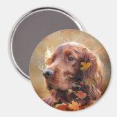 Beautiful Irish Red Setter Magnet (Vorderseite/Rückseite)