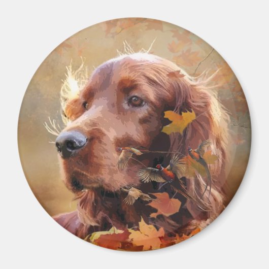 Beautiful Irish Red Setter Magnet (Vorne)