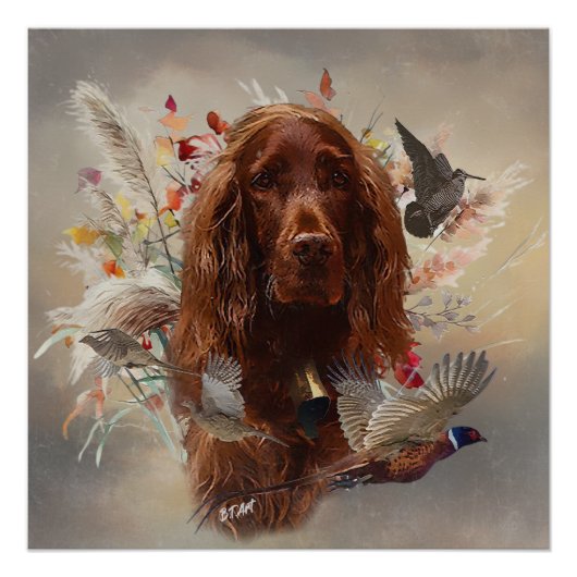 Beautiful Irish Red Setter Poster (Vorderseite)