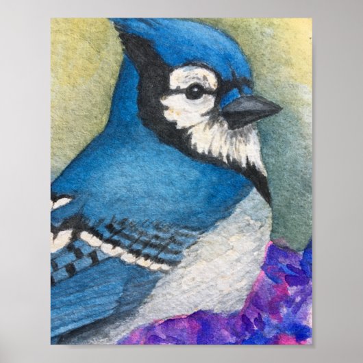 Beautiful Jay Bird Watercolor Poster (Vorne)