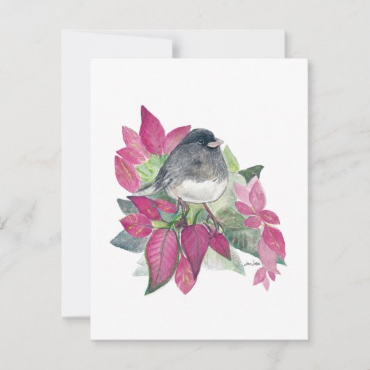Beautiful Junco Watercolor Note Card (Vorderseite)