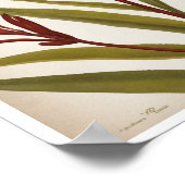 Beautiful Kangaroo Paw Blume Wall Poster (Ecke)