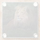 Beautiful Katanga Lion Glasuntersetzer (Rückseite)