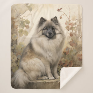 Beautiful Keeshond Sherpadecke