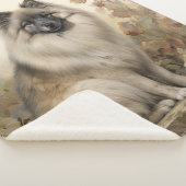 Beautiful Keeshond Sherpadecke (3/4)