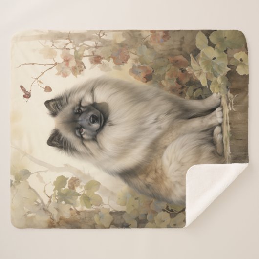 Beautiful Keeshond Sherpadecke (Vorderseite (Horizontal))