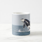 Beautiful Killer Whale Kaffeetasse (Mittel)