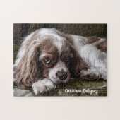 Beautiful King Charles Spaniel Puzzle (Horizontal)