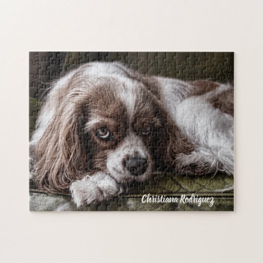 Beautiful King Charles Spaniel Puzzle (Horizontal)