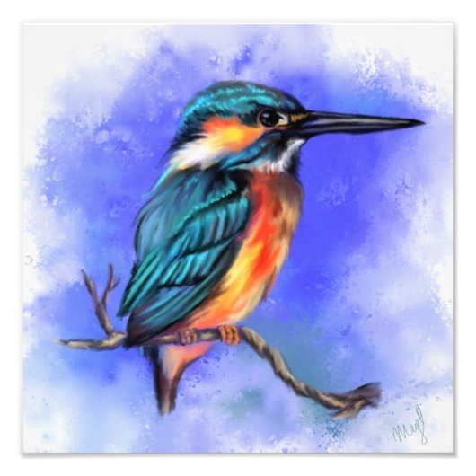 Beautiful Kingfisher Bird Foto Print (Vorne)
