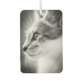 Beautiful Kitten Air Freshener Autolufterfrischer (Vorderseite)