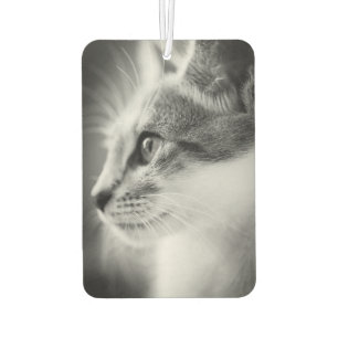 Beautiful Kitten Air Freshener Autolufterfrischer
