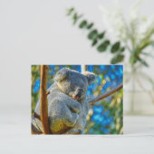 Beautiful Koala Postkarte (Stehend Vorderseite)