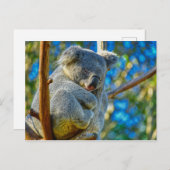 Beautiful Koala Postkarte (Vorne/Hinten)