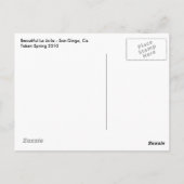 Beautiful La Jolla Postkarte (Rückseite)