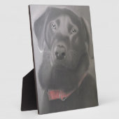 Beautiful Labrador Retriever Fotoplatte (Seite)