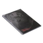 Beautiful Labrador Retriever Notizblock (Rechte Seite)
