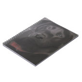 Beautiful Labrador Retriever Notizblock (Linke Seite)